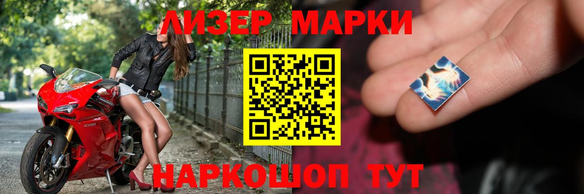 Конопля Мурино