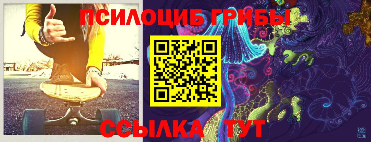 Мурино  Галлюциногенные грибы Cubensis  Вход с VPN 